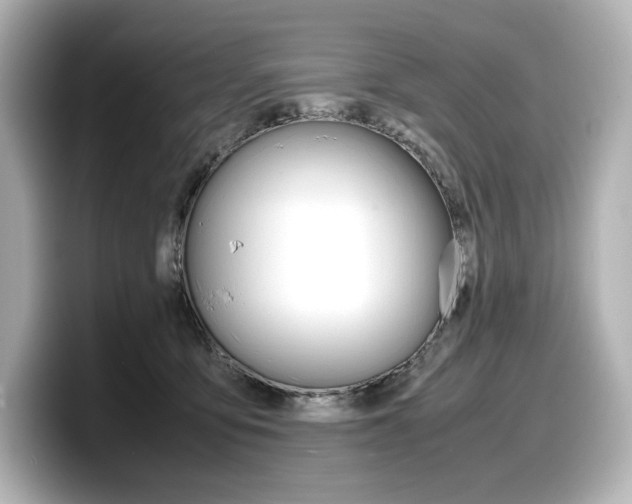 X0000098190419200804241055