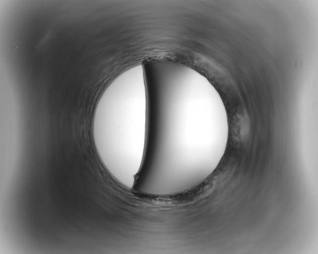 X0000098190420200804241055