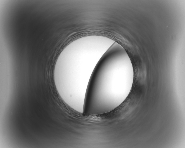 X0000098190421200804241055