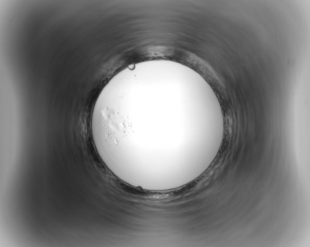 X0000098190422200804241055
