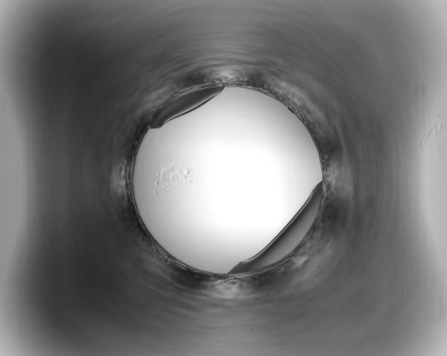 X0000098190423200804241055