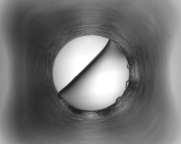 X0000098190424200804241055