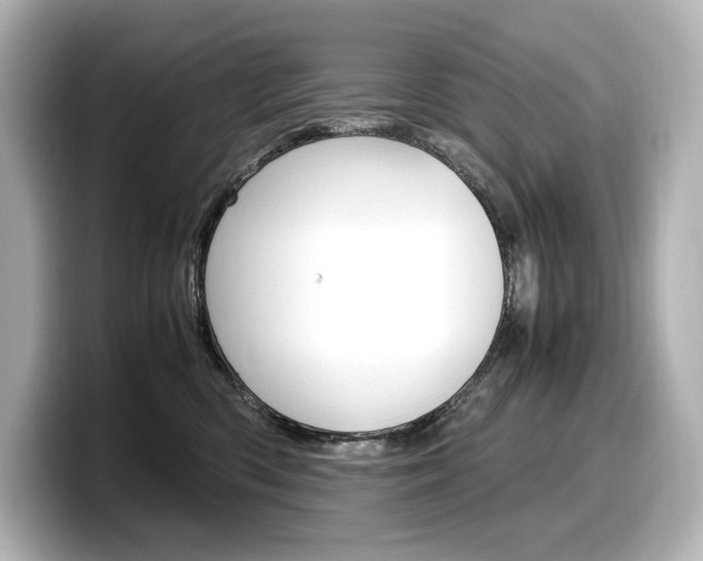 X0000098190426200804241055