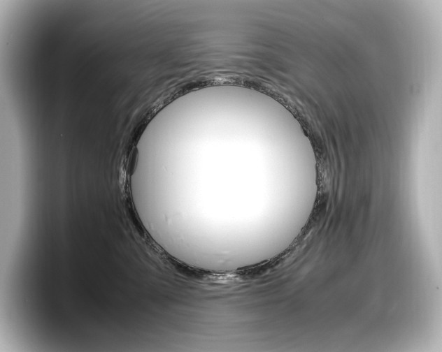 X0000098190427200804241055