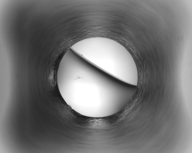 X0000098190428200804241055