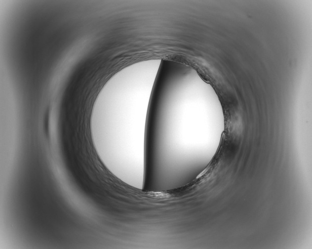 X0000098190429200804241055
