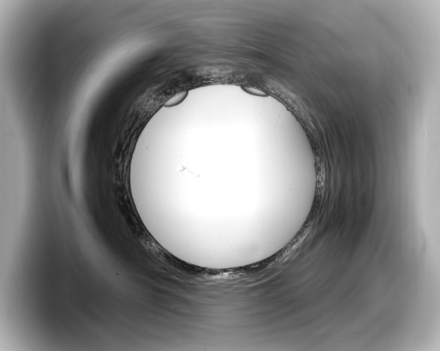 X0000098190430200804241055