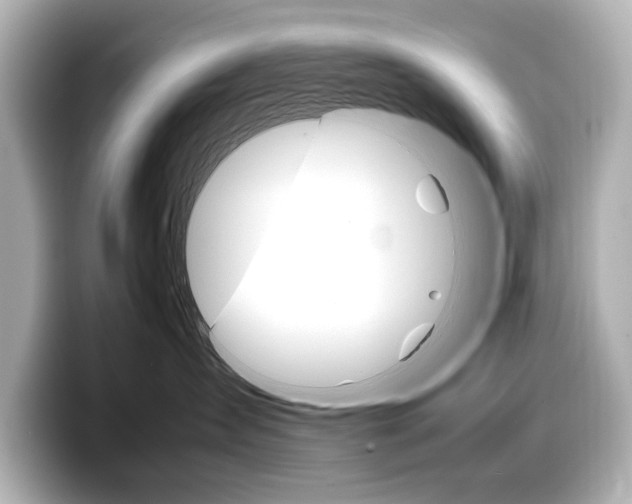 X0000098190431200804241055