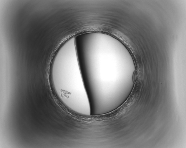 X0000098190434200804241054