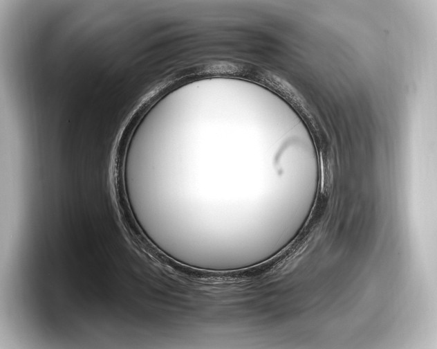 X0000098190435200804241054