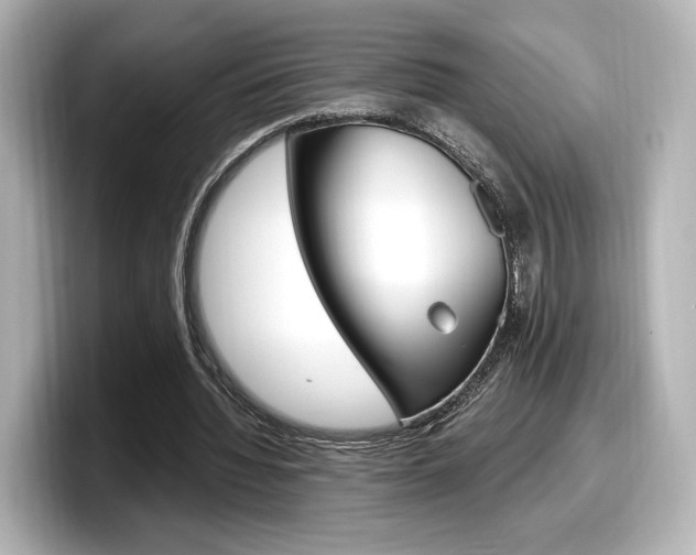 X0000098190436200804241054