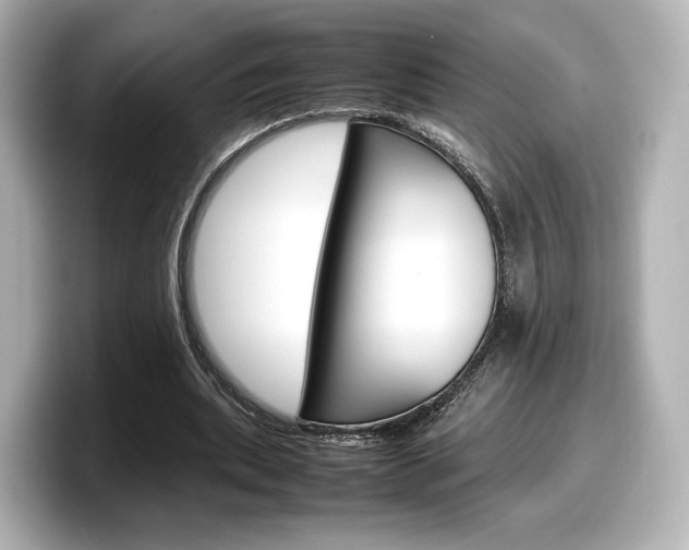 X0000098190439200804241054