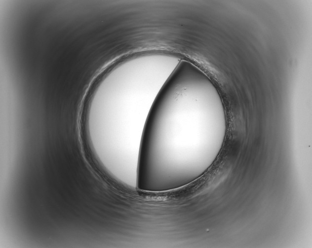 X0000098190440200804241054
