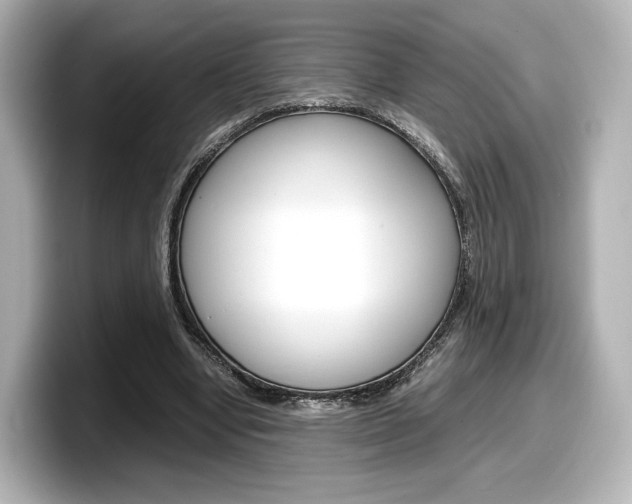 X0000098190442200804241054