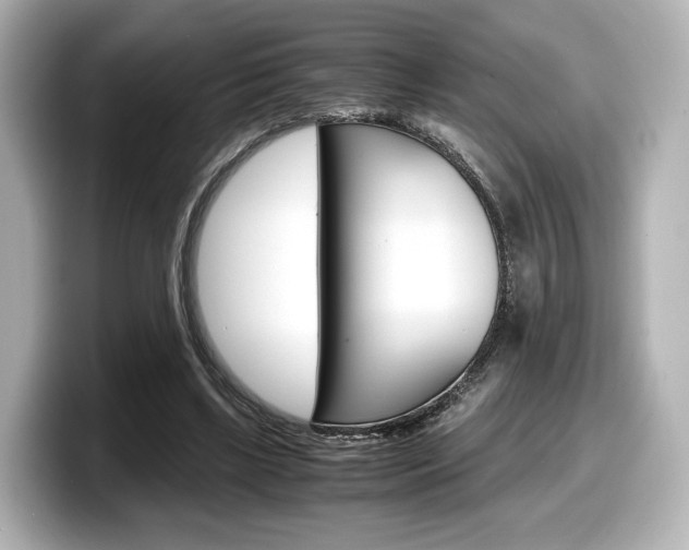 X0000098190443200804241054