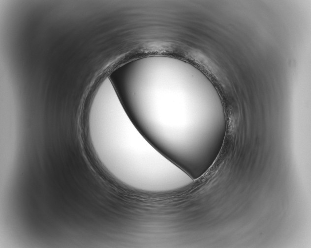X0000098190444200804241054