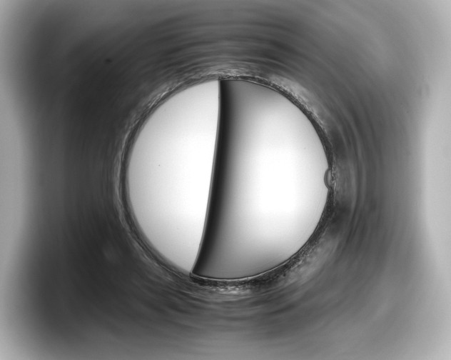 X0000098190445200804241054