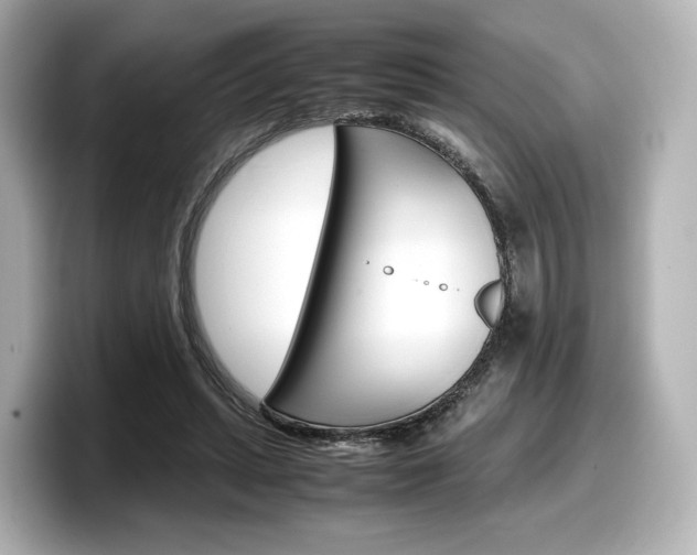 X0000098190447200804241054