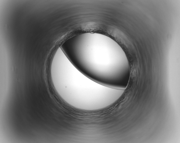 X0000098190448200804241054