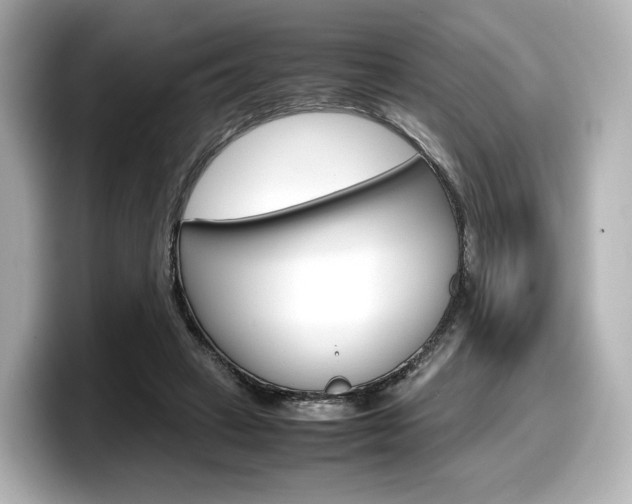 X0000098190449200804241054