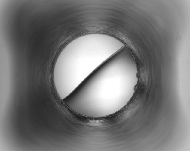 X0000098190450200804241054