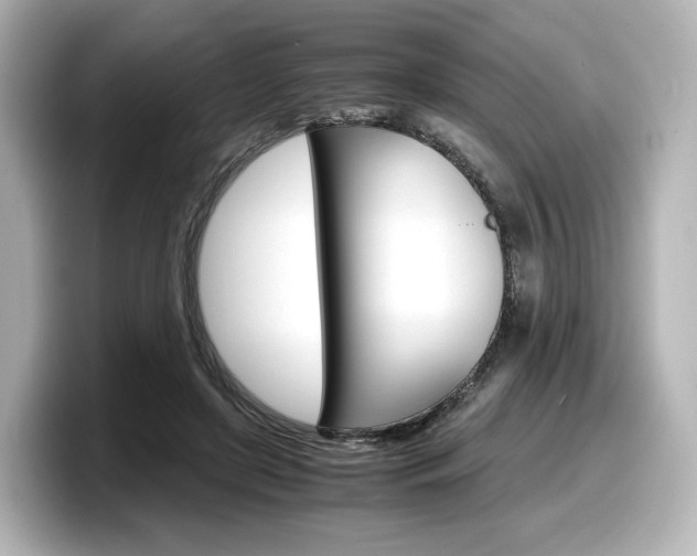 X0000098190451200804241054
