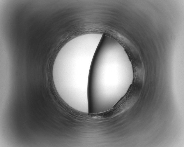 X0000098190452200804241054
