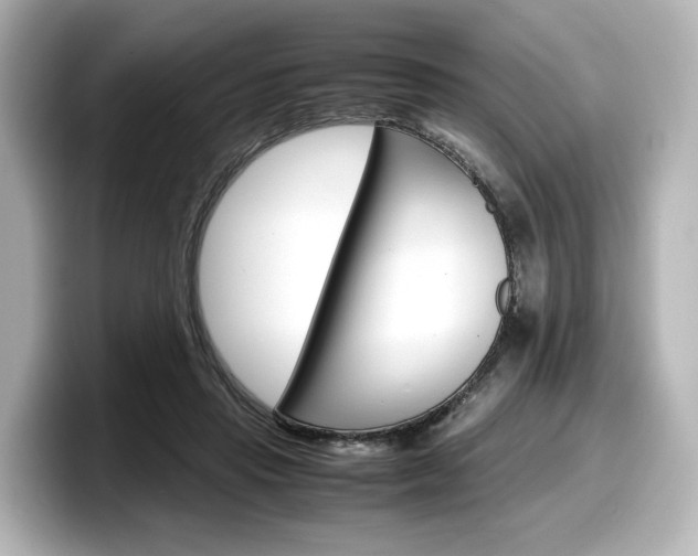 X0000098190453200804241054
