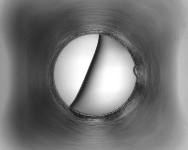 X0000098190454200804241054