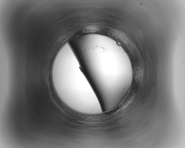 X0000098190455200804241054