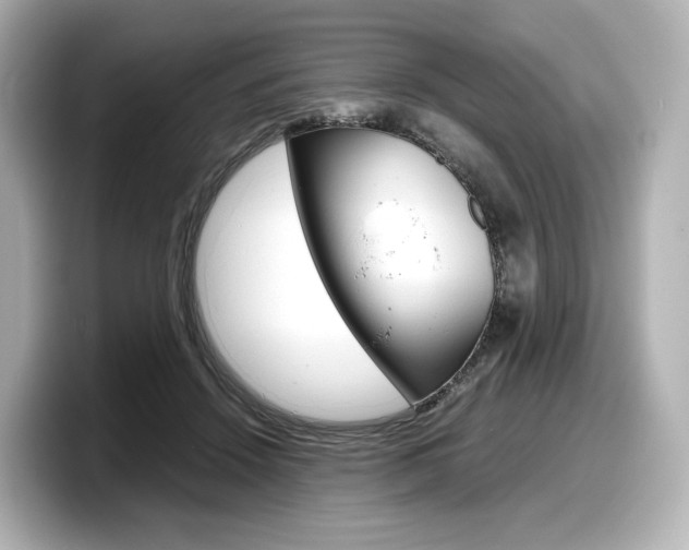 X0000098190456200804241054