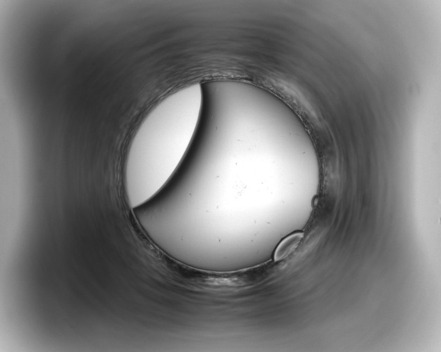 X0000098190457200804241054