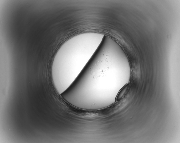 X0000098190458200804241054