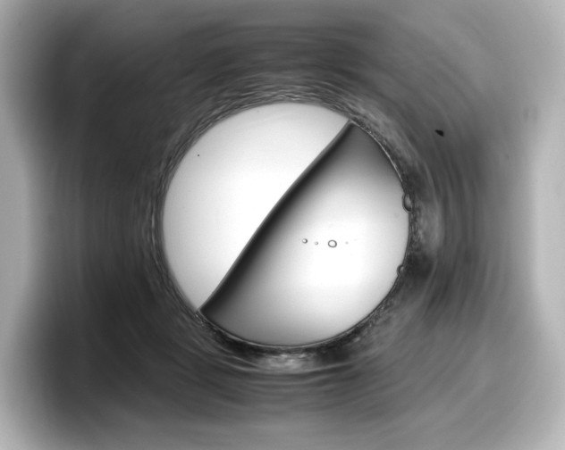 X0000098190461200804241054