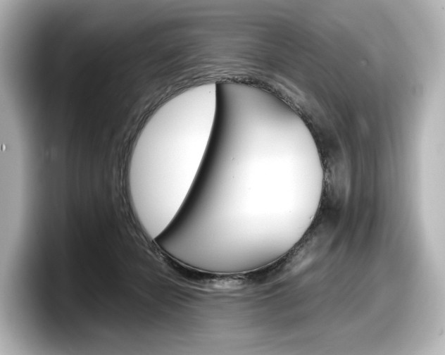 X0000098190462200804241054
