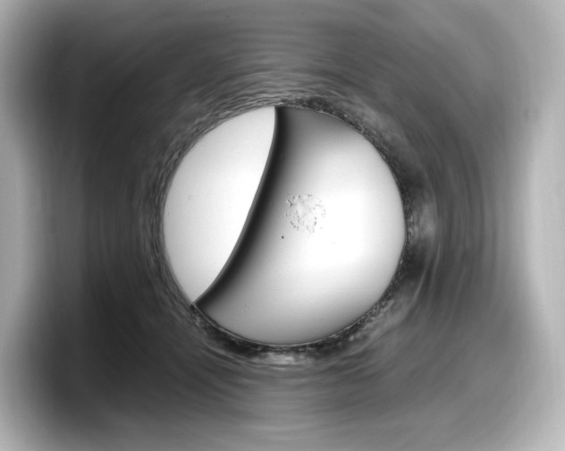 X0000098190464200804241054