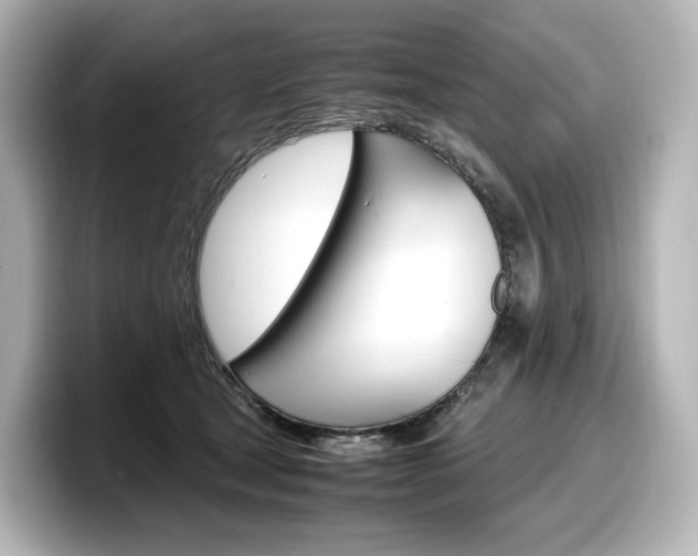 X0000098190465200804241054