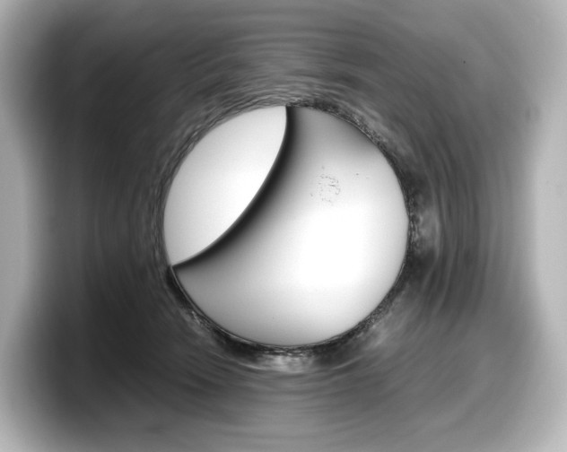 X0000098190466200804241054