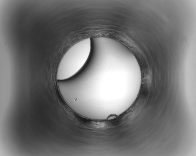X0000098190469200804241054