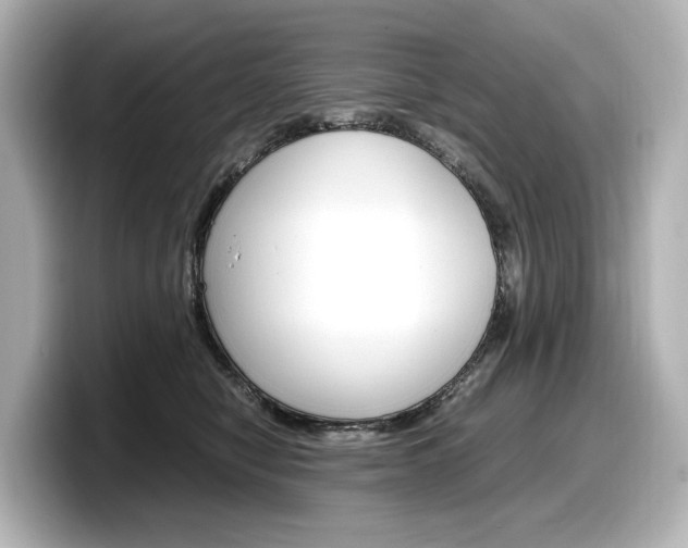 X0000098190470200804241055