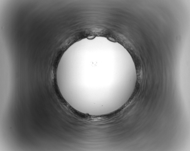 X0000098190472200804241055