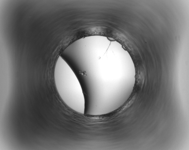 X0000098190473200804241055