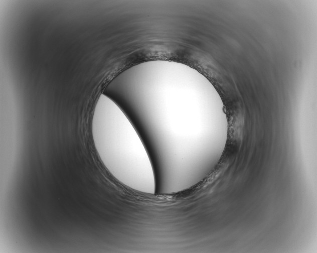 X0000098190474200804241055