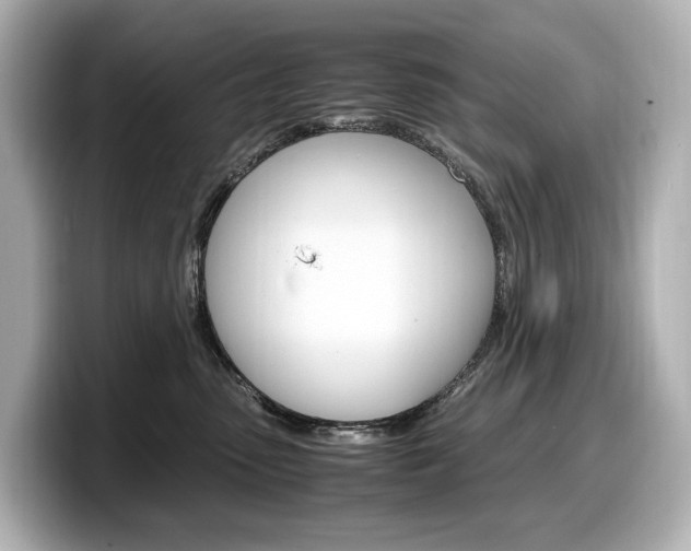 X0000098190475200804241055