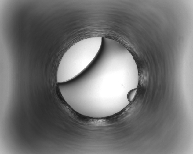 X0000098190476200804241055