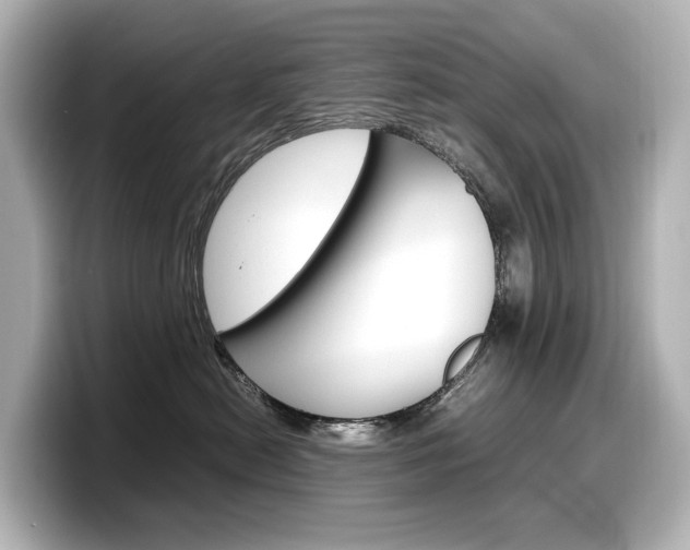 X0000098190478200804241055