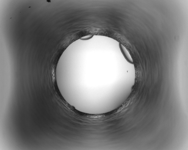 X0000098190479200804241055