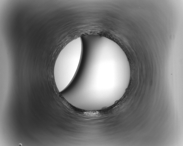 X0000098190480200804241055