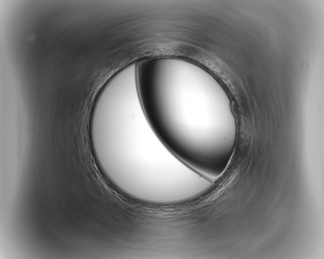 X0000098190481200804241054