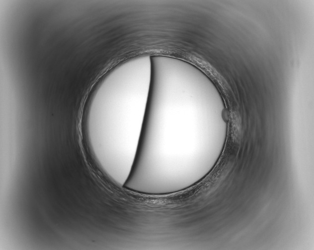 X0000098190482200804241054